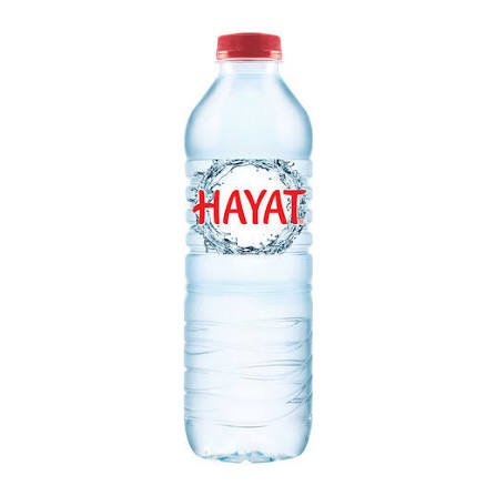 Hayat Su 0,5L
